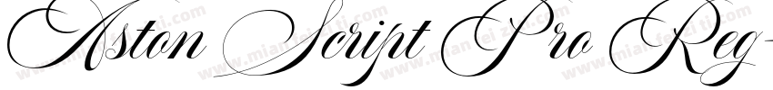 Aston Script Pro Reg字体转换